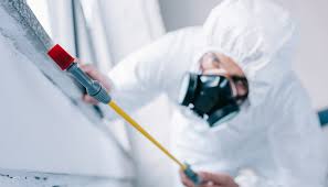 Best Fumigation Services  in North Bay Village, FL